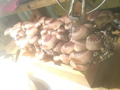 -大头椰·椰子鸡火锅(南宁万象城店)