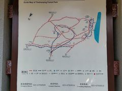 -铁山坪森林公园