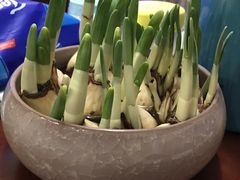 -龙大花卉苗木市场