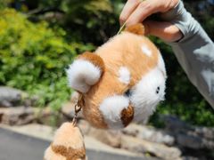 -ZOO COFFEE动物园咖啡(红山森林动物园店)