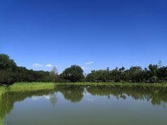 -永定河休闲森林公园