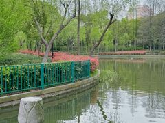 -黄兴公园