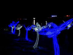 -长春公园(普阳街道)