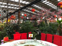 -兴芮温泉度假区