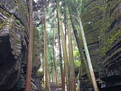 -梭布垭石林景区