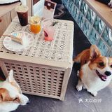 🐾 Paw coffee 柯基在线营业