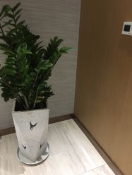 -苑苑vbeauty科技美容SPA
