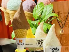 -野人先生现做冰淇淋(北京王府井东方新天地店)