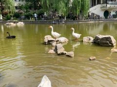 -舜耕山庄四时万和自助餐厅