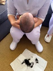 -慧婴轩婴儿理胎发胎毛笔胎毛画手足印(通州店)