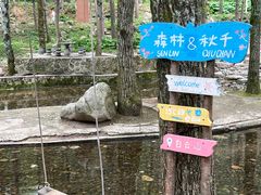 -洛阳白云山景区