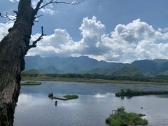 -大九湖