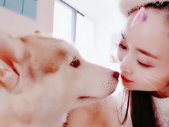 -Husky Go! 哈士奇体验馆·宠物咖啡厅狗咖