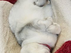 -小时光咖啡馆(北锣鼓巷店)
