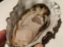 -Casa Fina Seafood & Oyster Bar