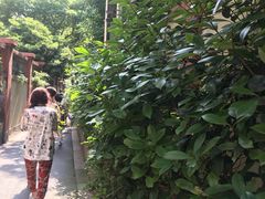 -嘉善老市