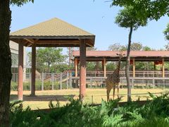 -石家庄市动物园