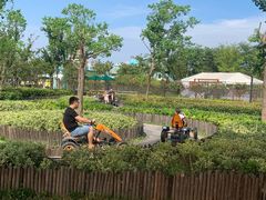 -季高兔窝窝亲子园(上海薰衣草公园店)