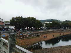 -宁波溪口古镇-民国大杂院