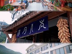 -卧龙中华大熊猫苑神树坪基地