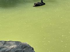 -洛阳市隋唐城遗址植物园
