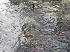 -水磨沟公园