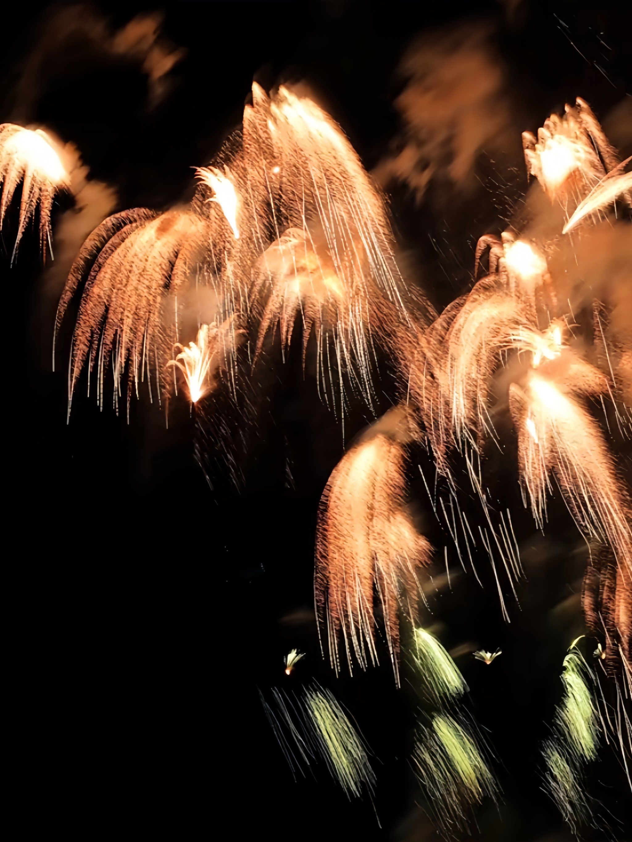 看烟花,迎接新年的开始