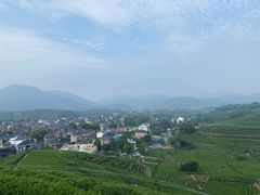 -龙坞茶村