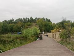 -东郊湿地公园