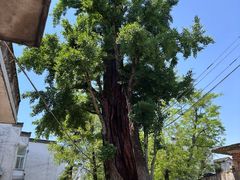 -西溪南古村落