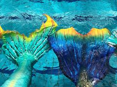 -CLASS国际公馆诺伯曼超越运动会馆