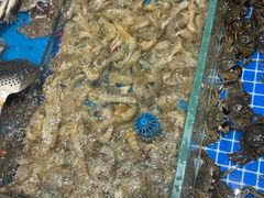-半岛听涛蒸汽海鲜自助(K11店)