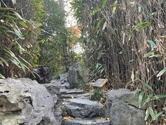-秋霞圃