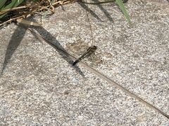 -天津东丽湖风景区