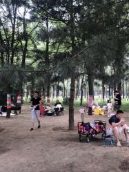 -大美儿童世界(奥林匹克水上公园店)