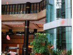 -上海新锦江大酒店