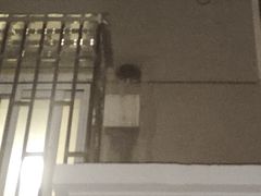 -上海大酒店(南京东路店)