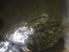 -青岛海底世界-水族馆