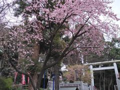 -上野公园花园稻荷神社(忍岡稲荷神社)