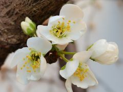-天津东丽湖风景区