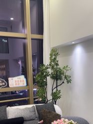 -JNK皮肤管理中心