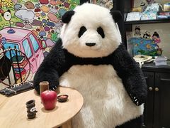 -轩客会(熊猫书店)