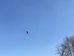 -钟山体育运动公园