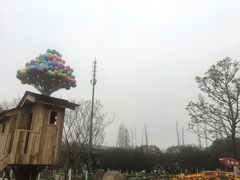 -秀丽东方