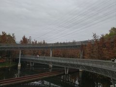 -福道