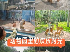-秦皇岛野生动物园