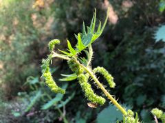-碓臼峪自然风景区