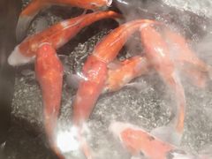 -0776食堂·京城创意菜(七里庄店)
