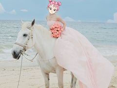 -玫瑰海岸文化旅游度假区
