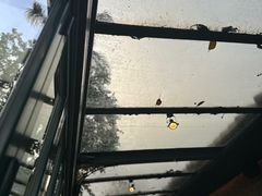 -太平山餐厅(山顶道店)